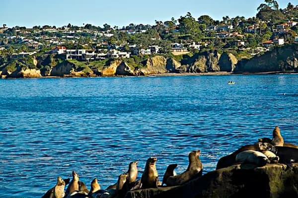 La Jolla photo 1