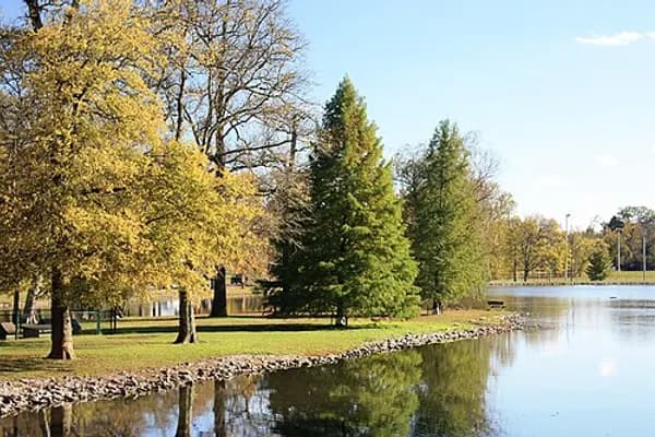 East Nashville photo 4