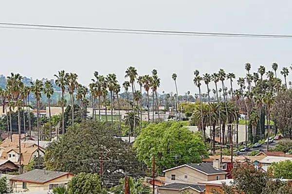 Highland Park photo 3