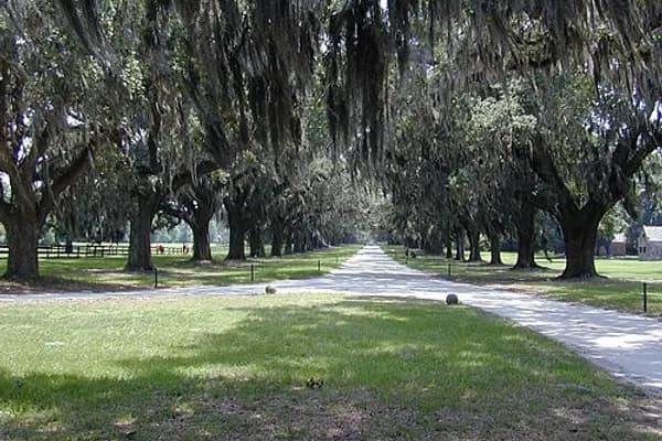 Mount Pleasant photo 1