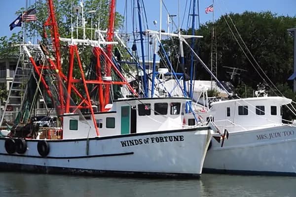 Mount Pleasant photo 5