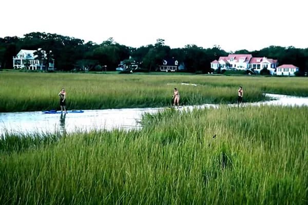 Mount Pleasant photo 6