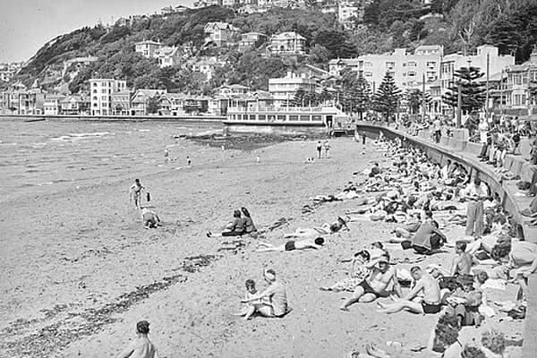 Oriental Bay photo 2