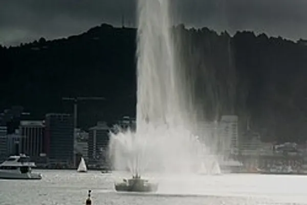 Oriental Bay photo 5