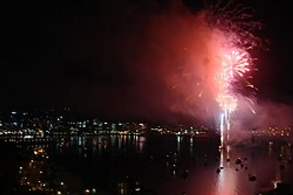 Oriental Bay photo 6