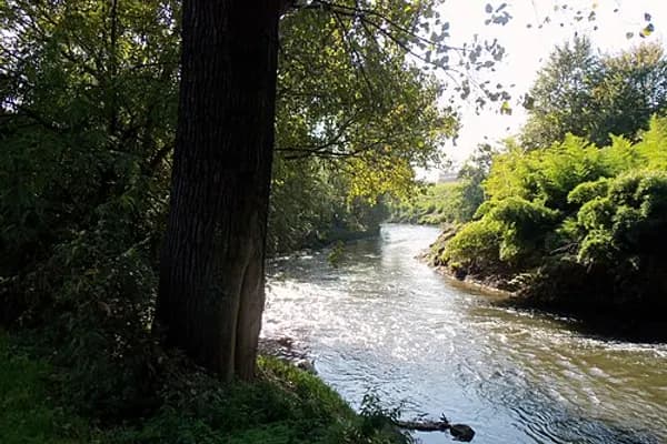 Quadrilatero Romano photo 3