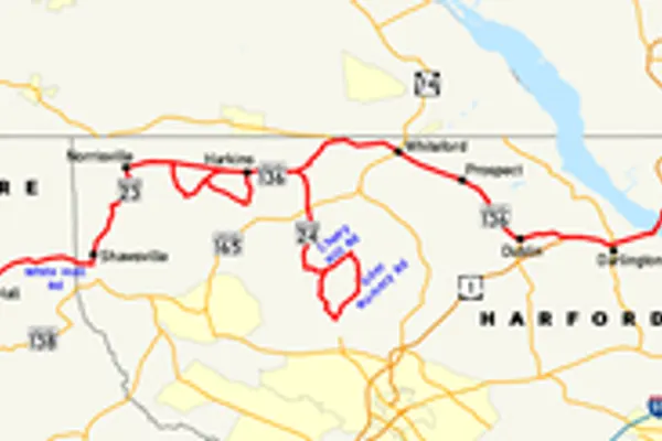 Sunshine Bay photo 4